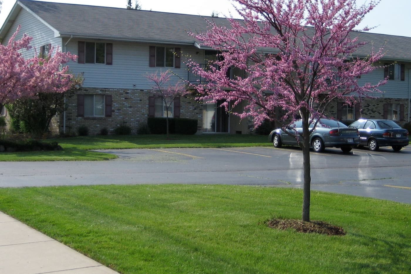 Lakewood Apartments - Apartment - 7
