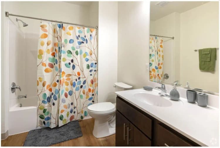 Kenosha apartments for rent - image - 157683835.jpg