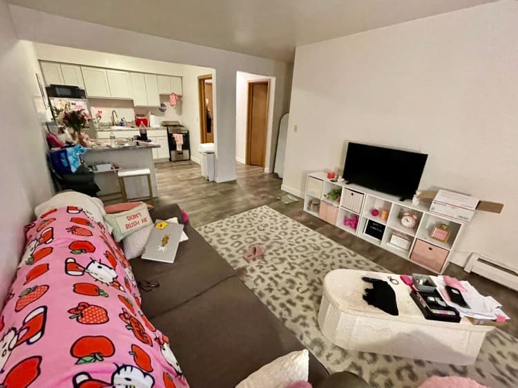 Kenosha apartments for rent - image - large (1).jpeg