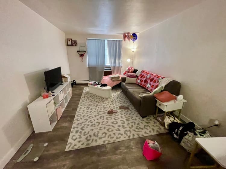 Kenosha apartments for rent - image - large (4).jpeg